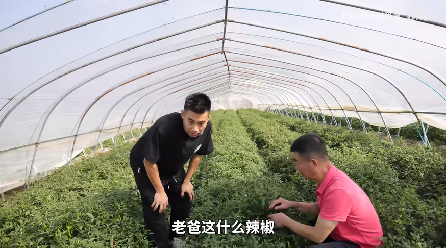 https://img.toumeiw.cn/upload/images/20240227/1a9575607f690c322f2a030f6aa1eda0.png